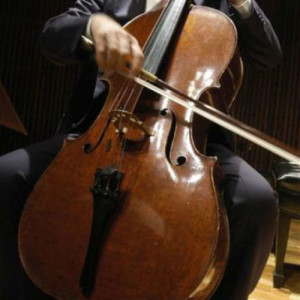 violonchelista_cuad